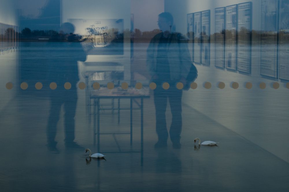 Galery photographer BIELIK