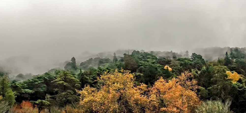 Autum view to park of Pena
