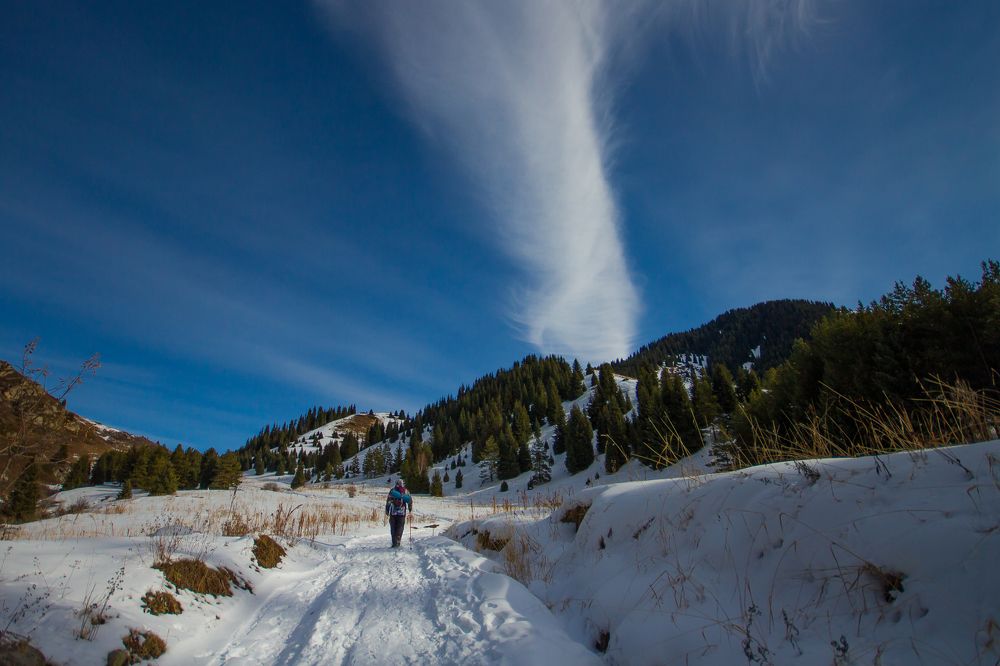 Ущелье Кок- Жайлау