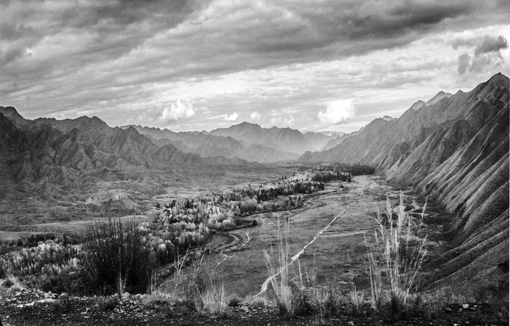 Photograph by Щербакова Галина