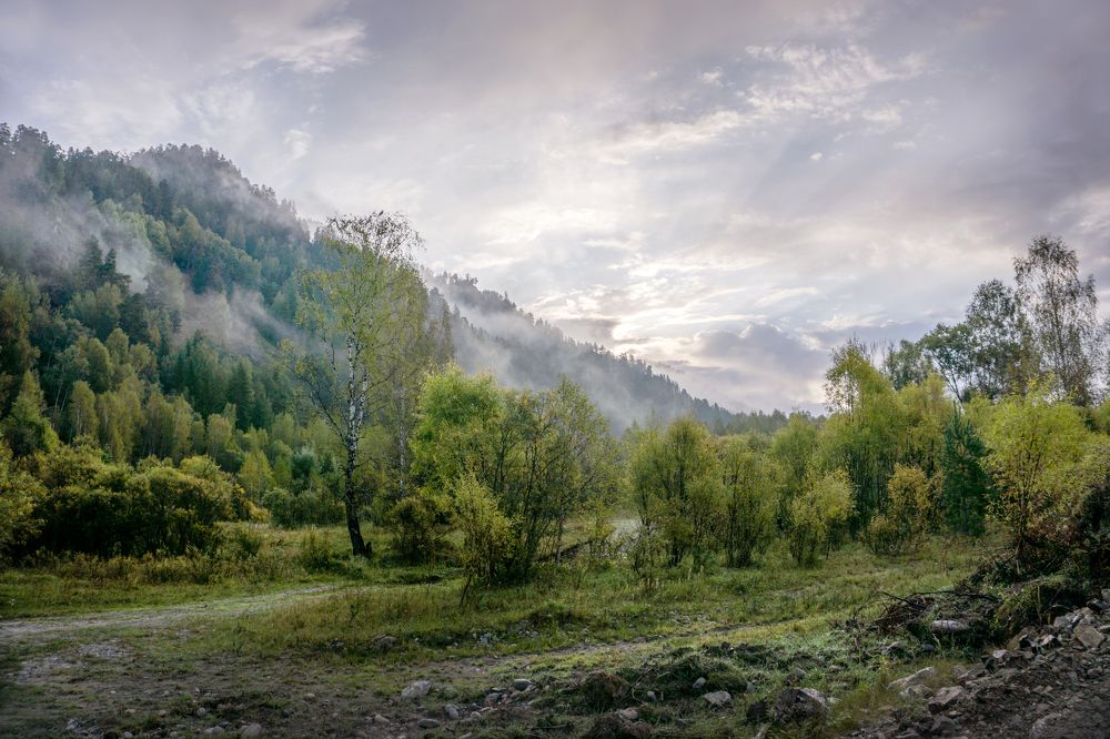 Photograph by Щербакова Галина