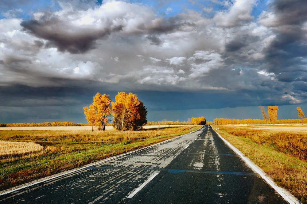 Дорога в зиму