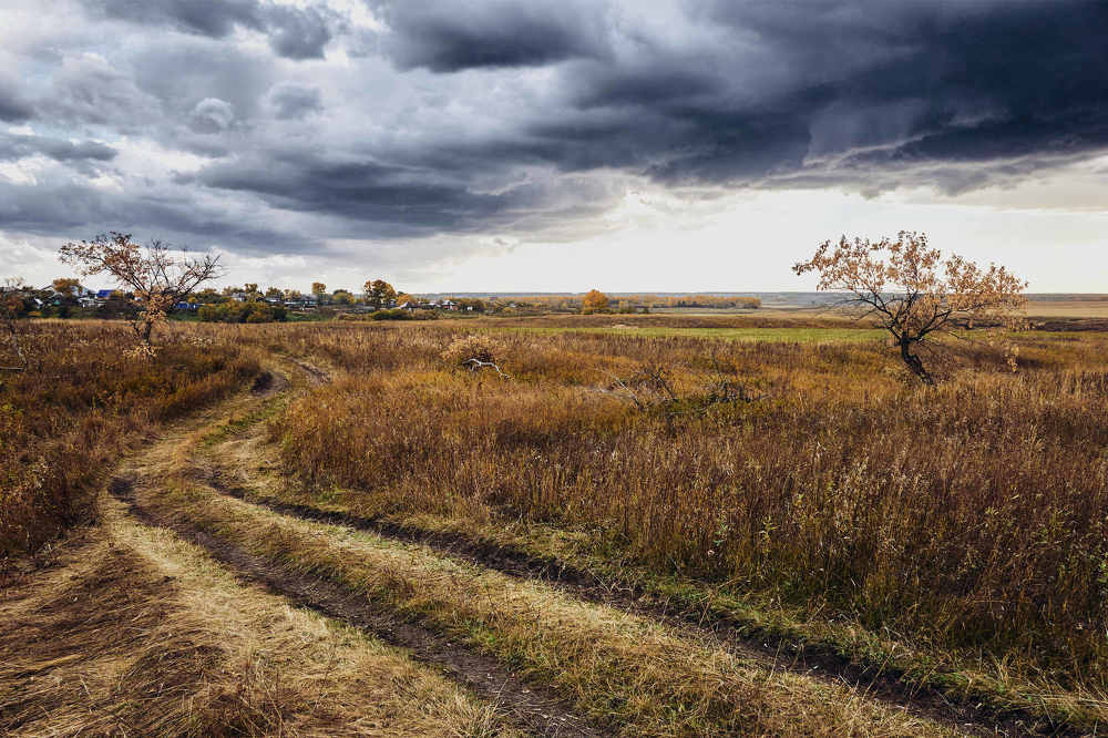 Вот моя деревня...