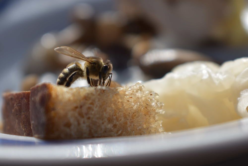 Незваный гость