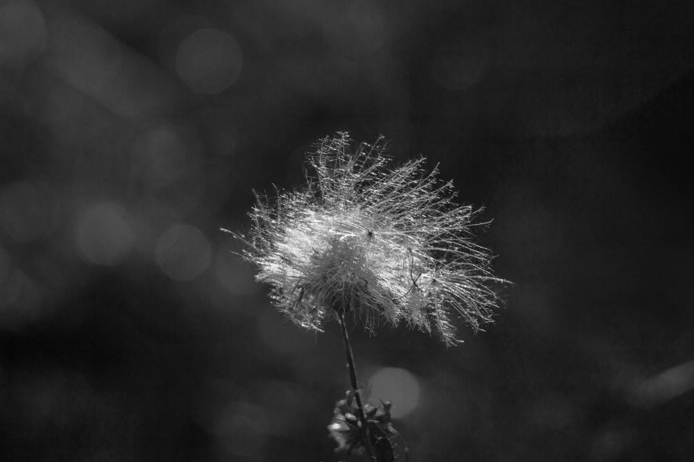 Застывшая осень