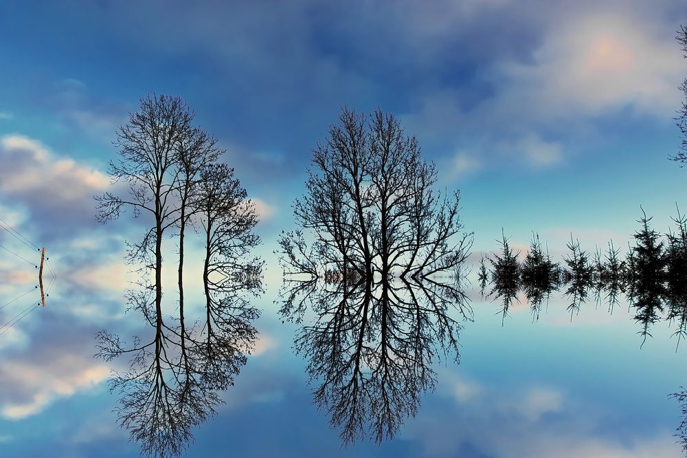 Photograph by Gaļina