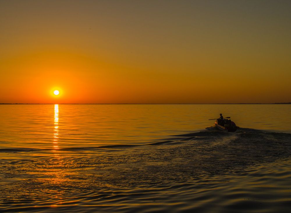 На встречу солнцу