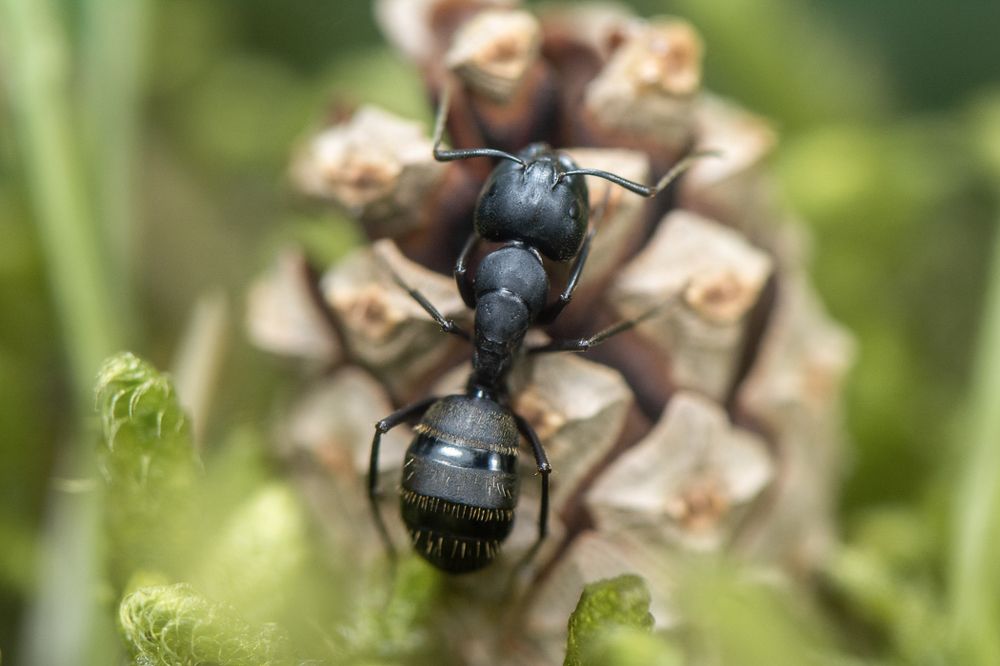 Photograph by Татьяна Золотых