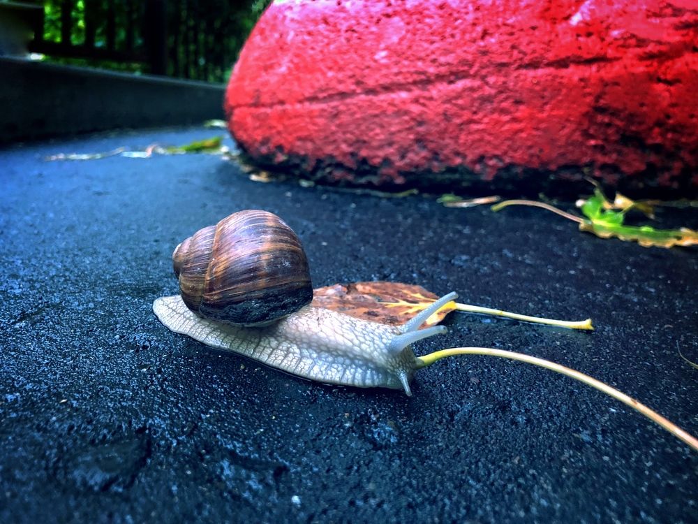 Photograph by Konstantin Volkov