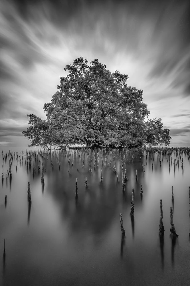 Trees survive standing tall