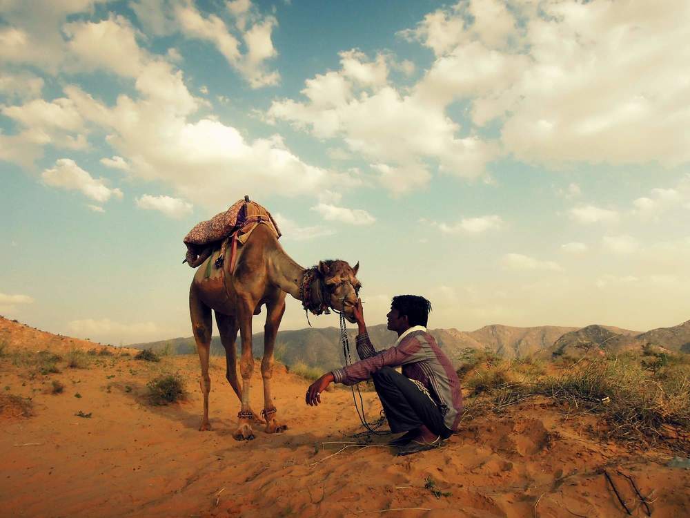 Love in the desert