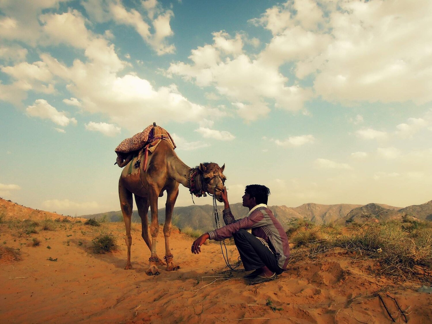 Love in the desert