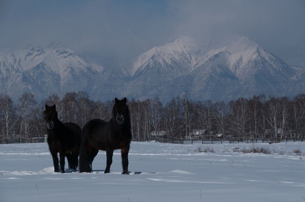 В Тункинской долине