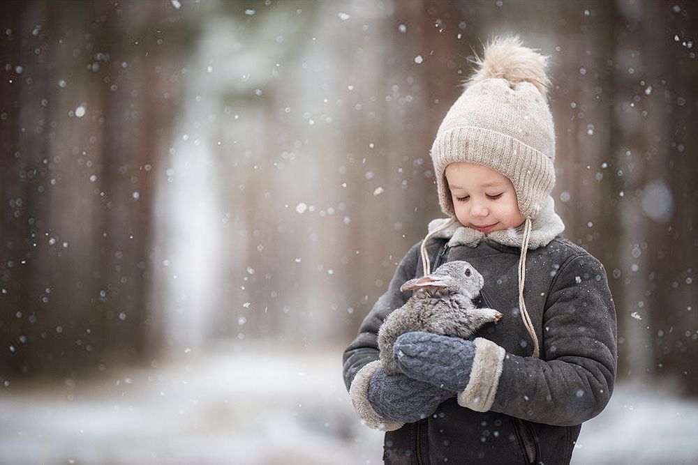 мальчик и зайчики