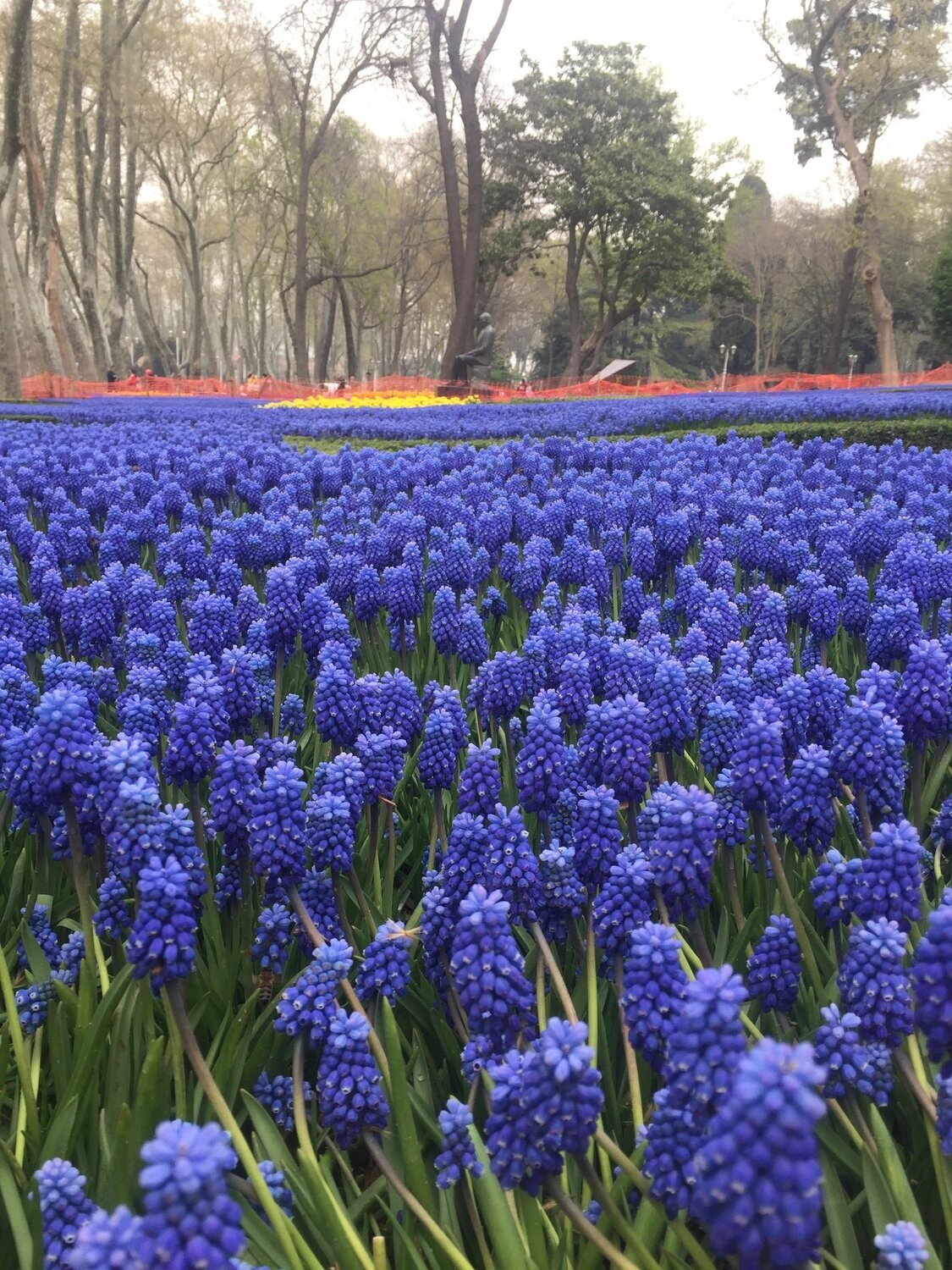 İstanbul Gülhane parkı