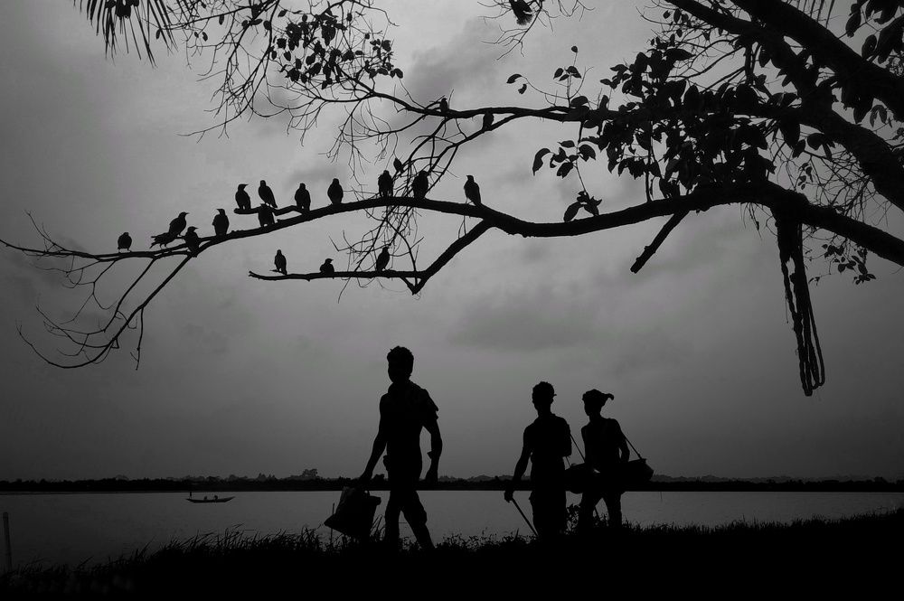 বেলাশেষে বাড়ি ফেরা