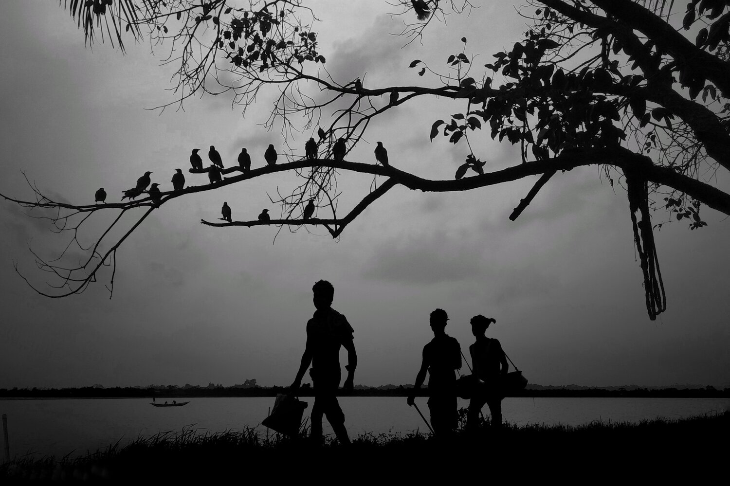 বেলাশেষে বাড়ি ফেরা