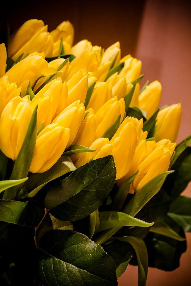 Желтое настроение