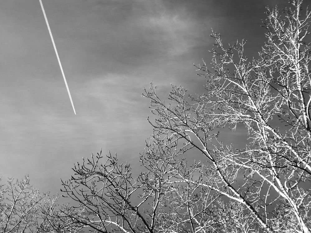 Две природы линий