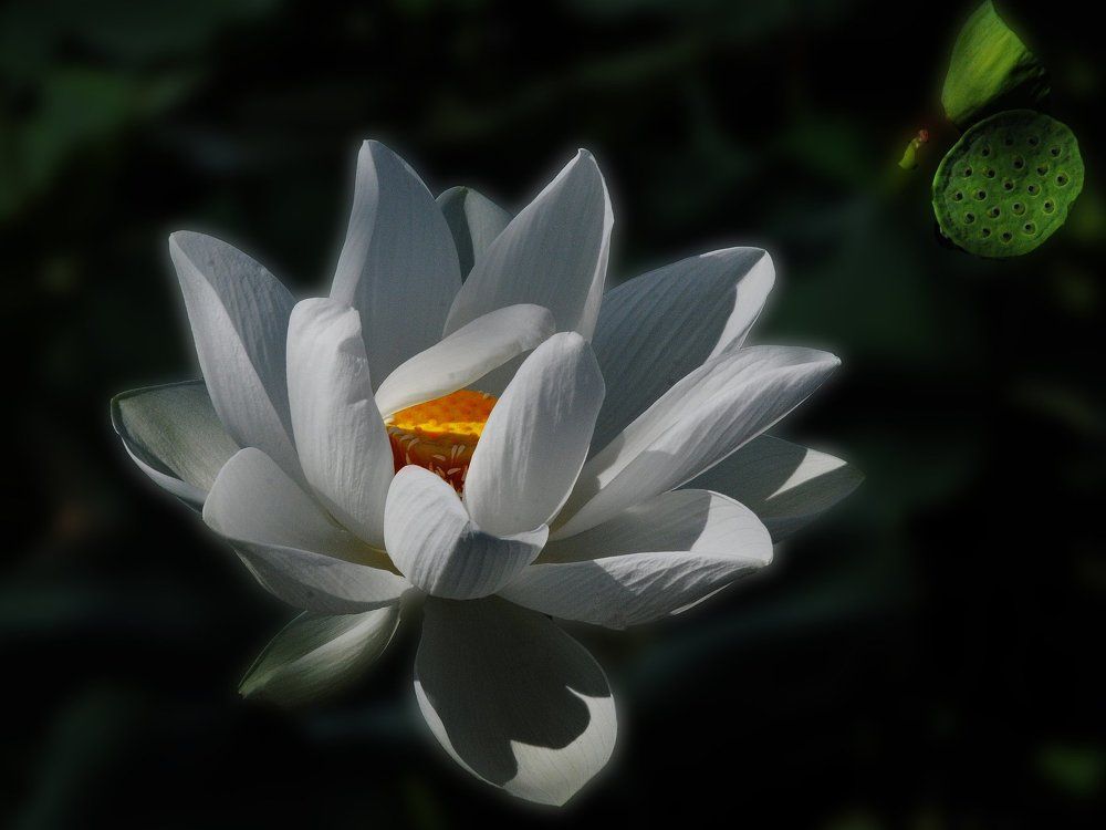 ĐÓN NẮNG SỚM MÙA THU