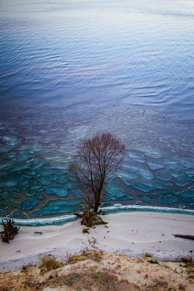 Молодой лёд