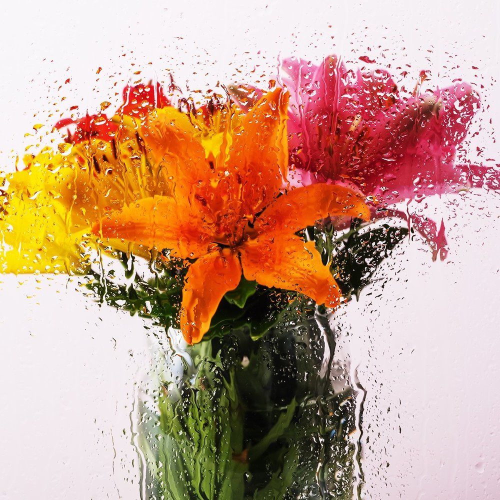 Стекло дождь лилии