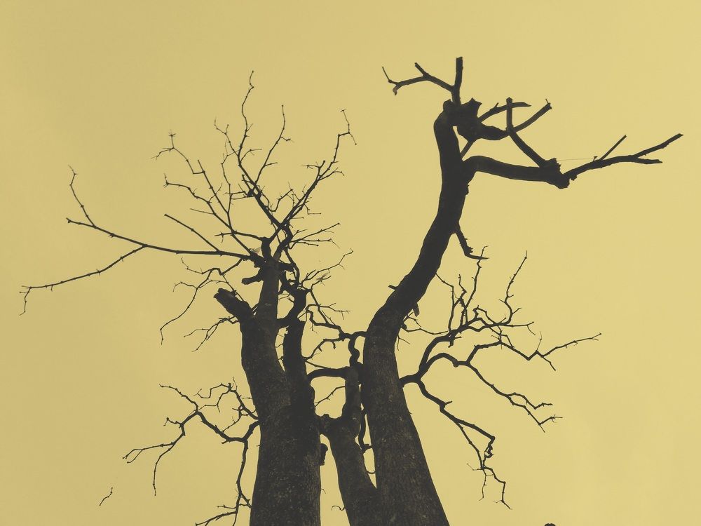 জীর্ণতা