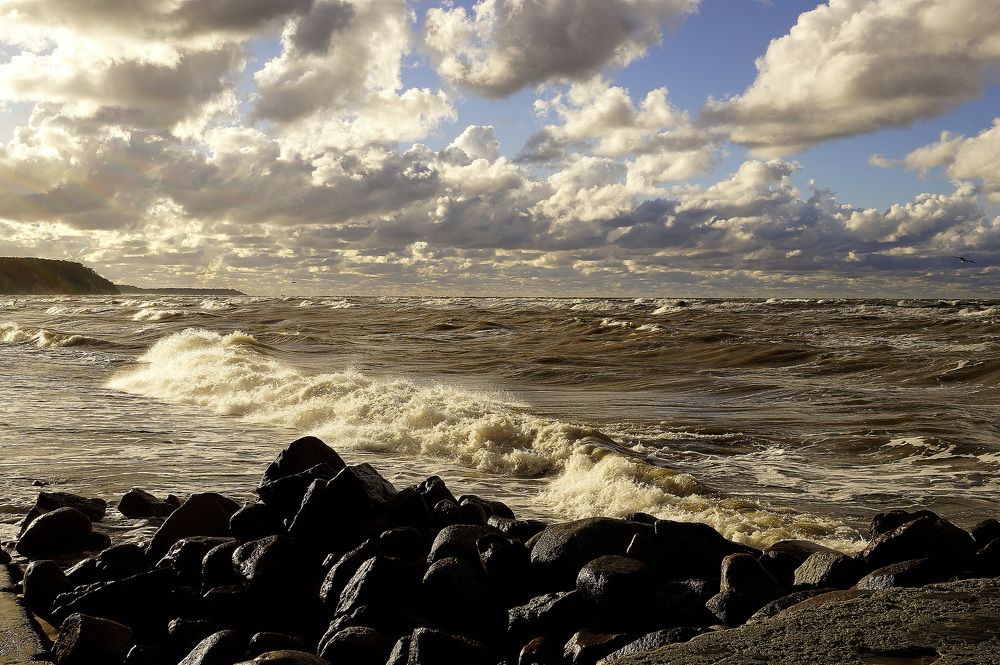 Балтийское  море  мое !