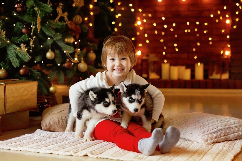 Photograph by Екатерина Кияева