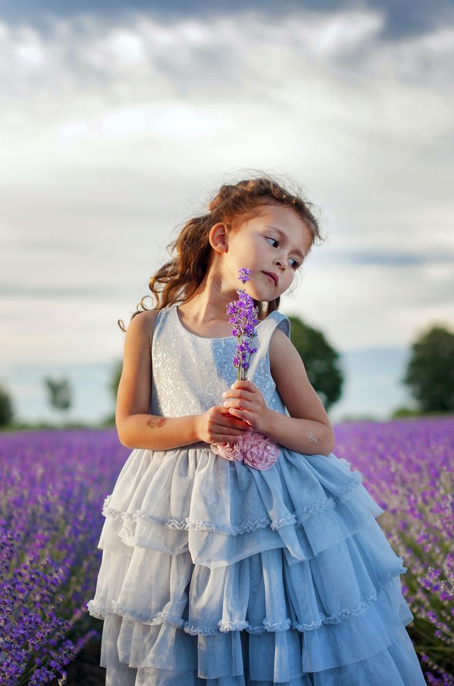 сказачная лаванда