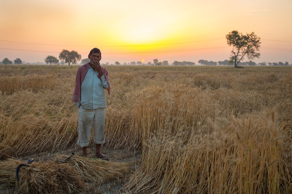 Мужчина в поле