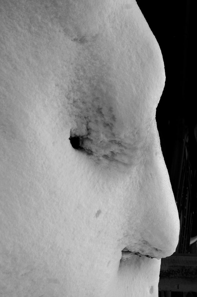 "Снежный образ"