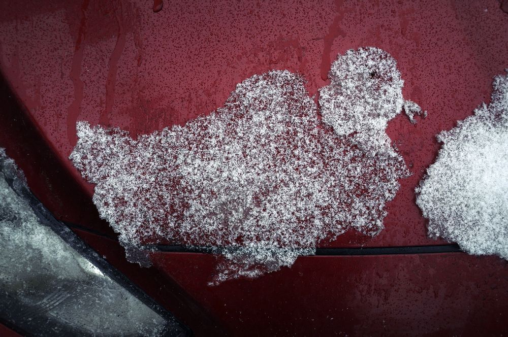 "Снежная птичка"