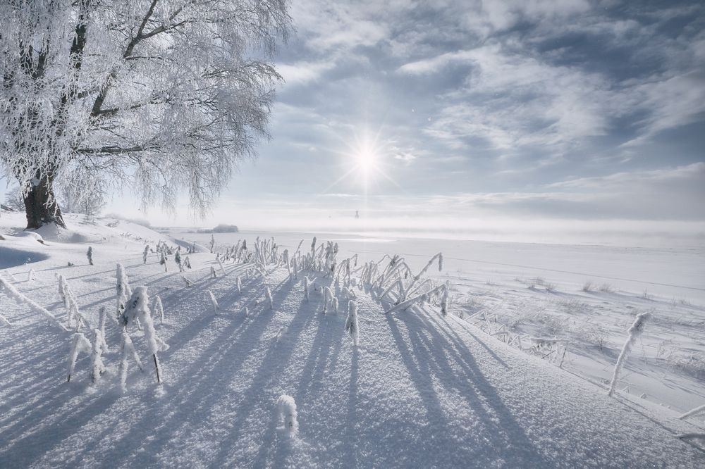 Юрьевский монастырь в дымке парящего Волхова