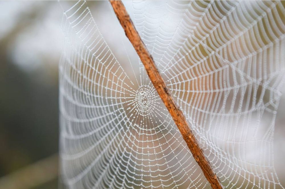 A wet morning