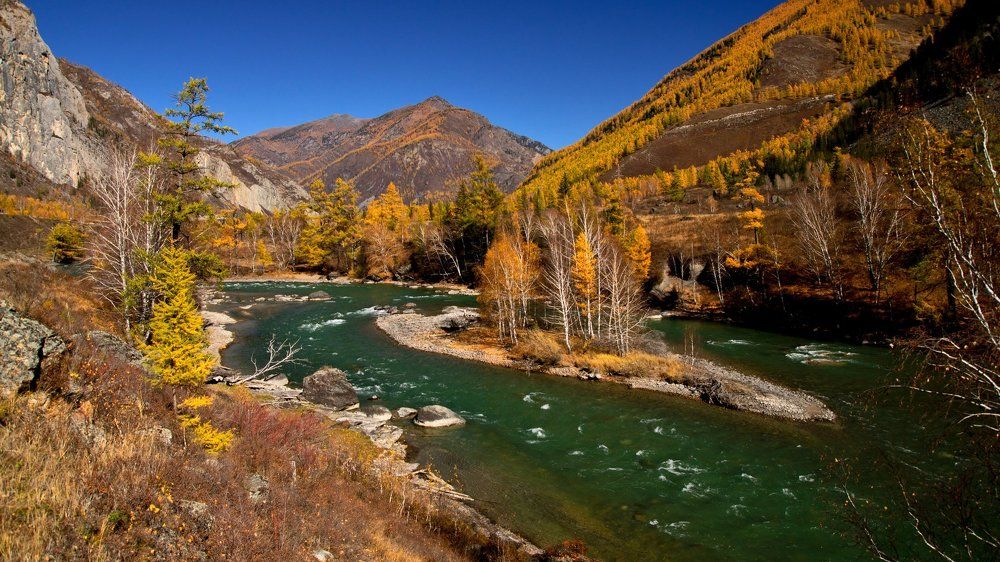 Золотой Алтай. Бирюзовая река Чуя.