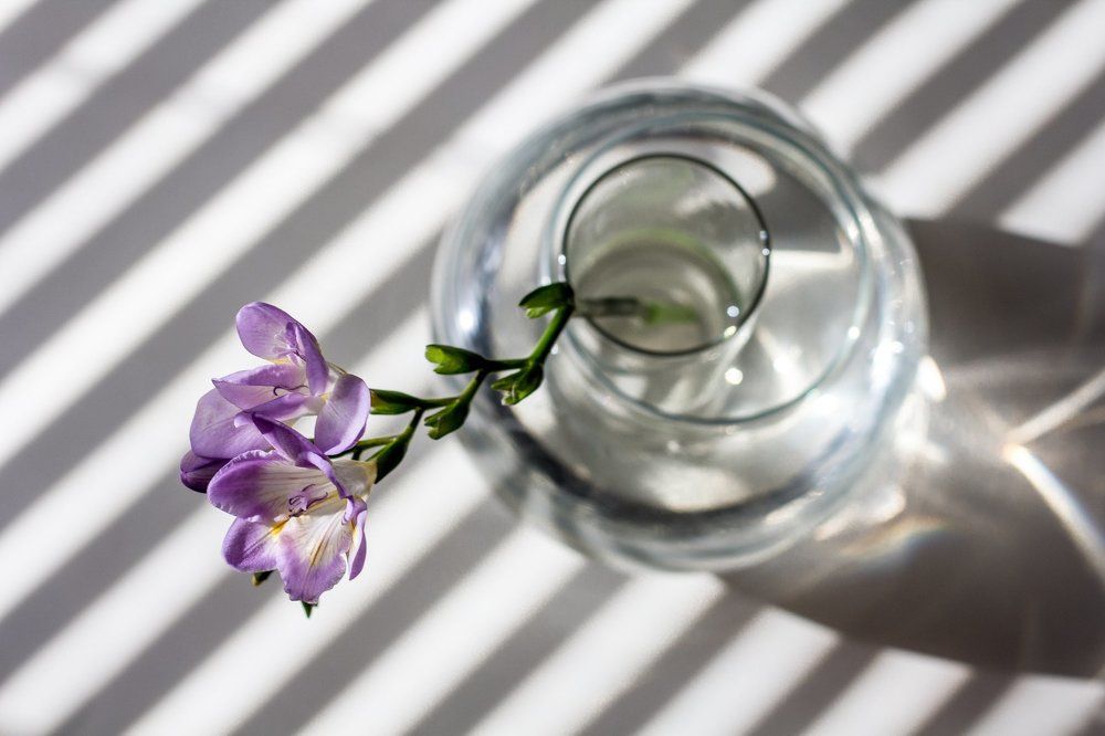 Полосатый мир.