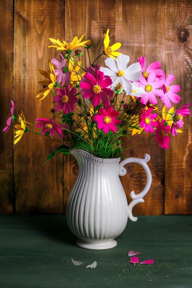 Маргаритки