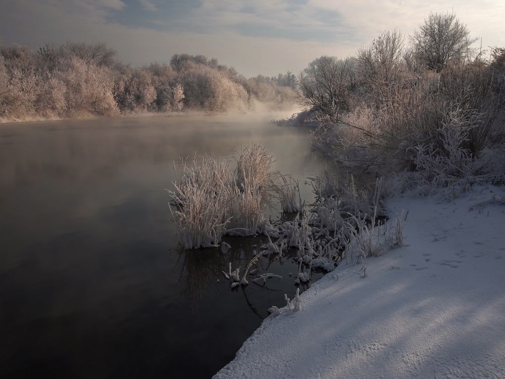 Скоро придёт зима