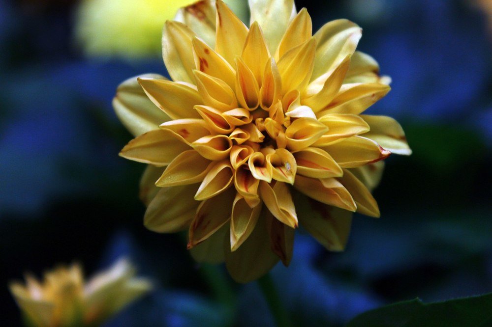 Photograph by Элина Данелия