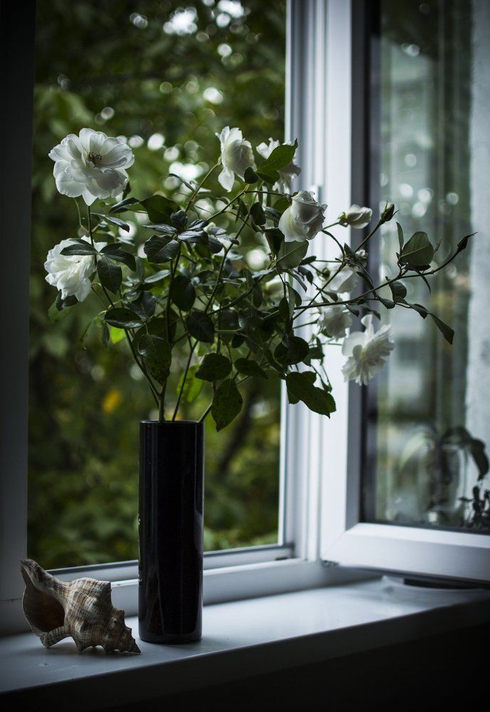 Утренний натюрморт