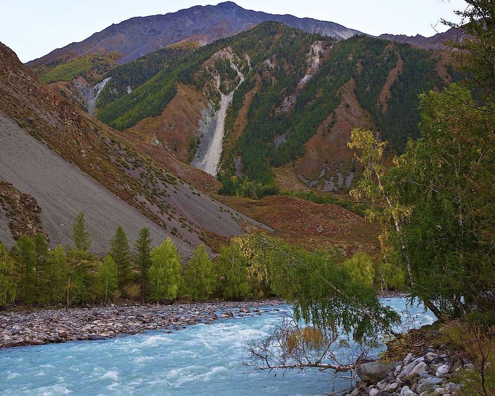 дело времени жестокого...