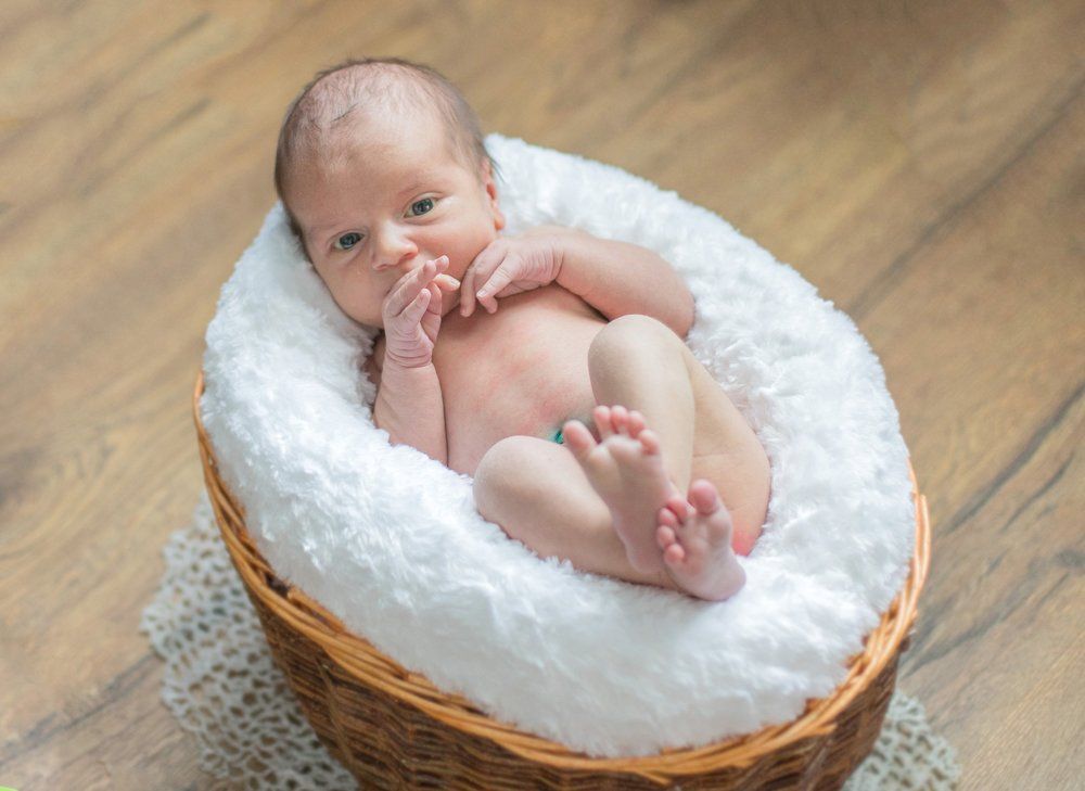 Photograph by Людмила Тимощук