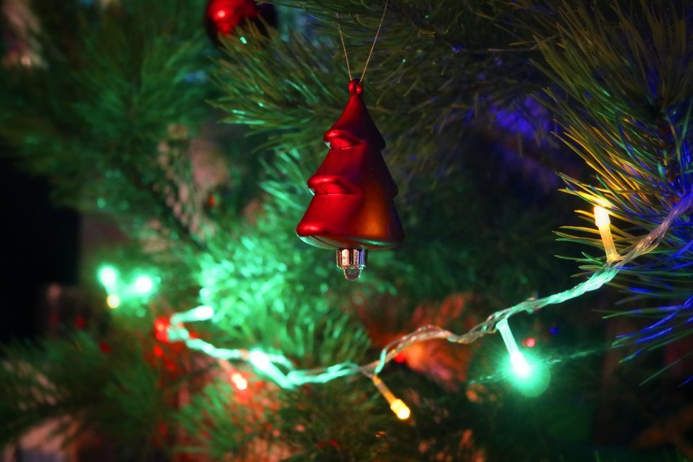 Фотография автора Анастасия Пищулова