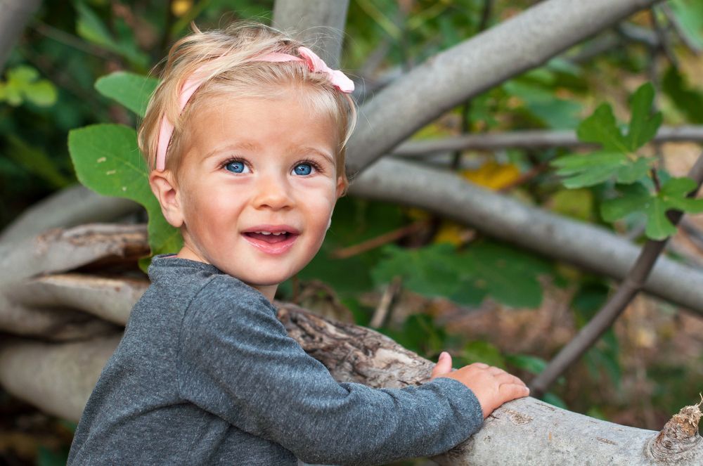 Фотография автора  Виктория