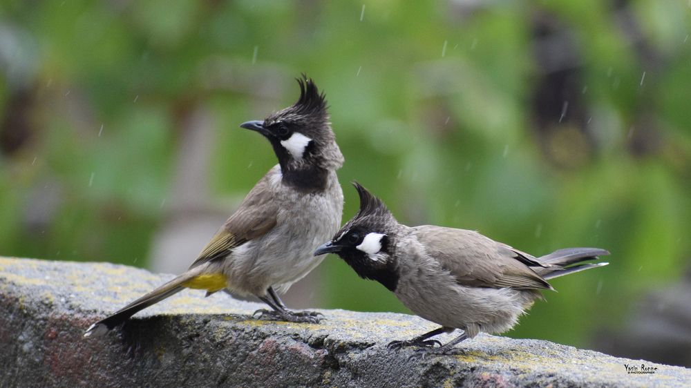 Photograph taken from my house