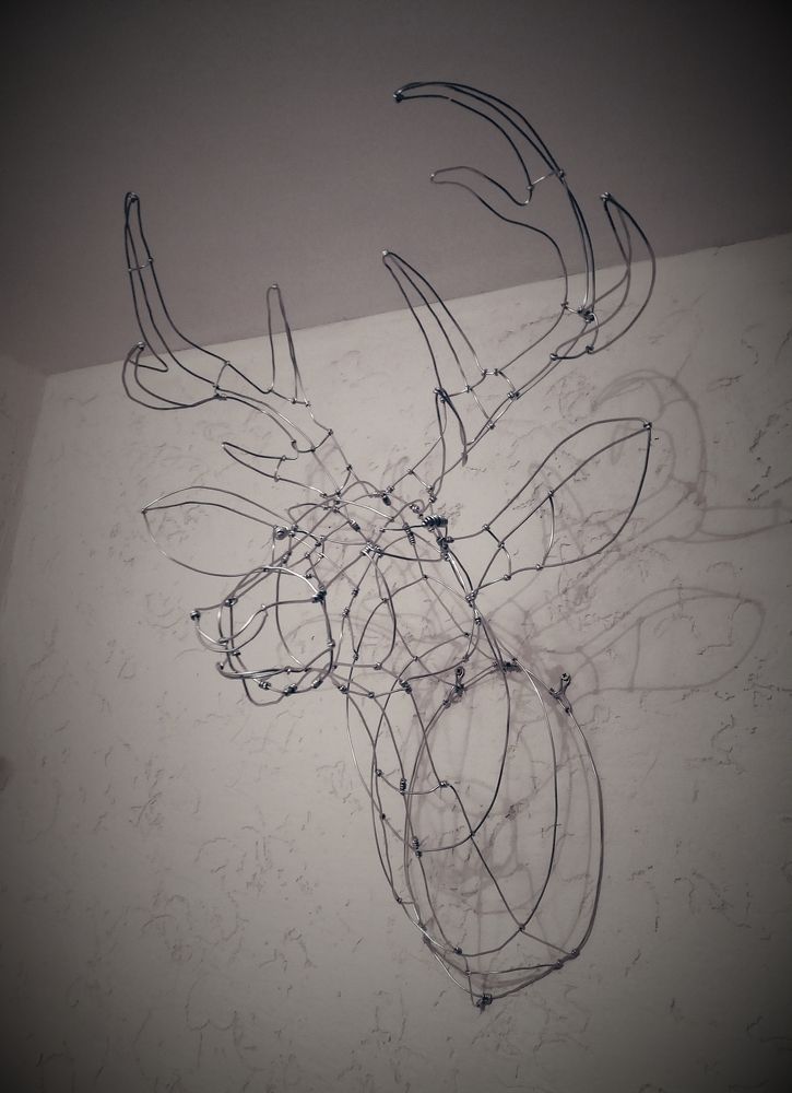 Deer