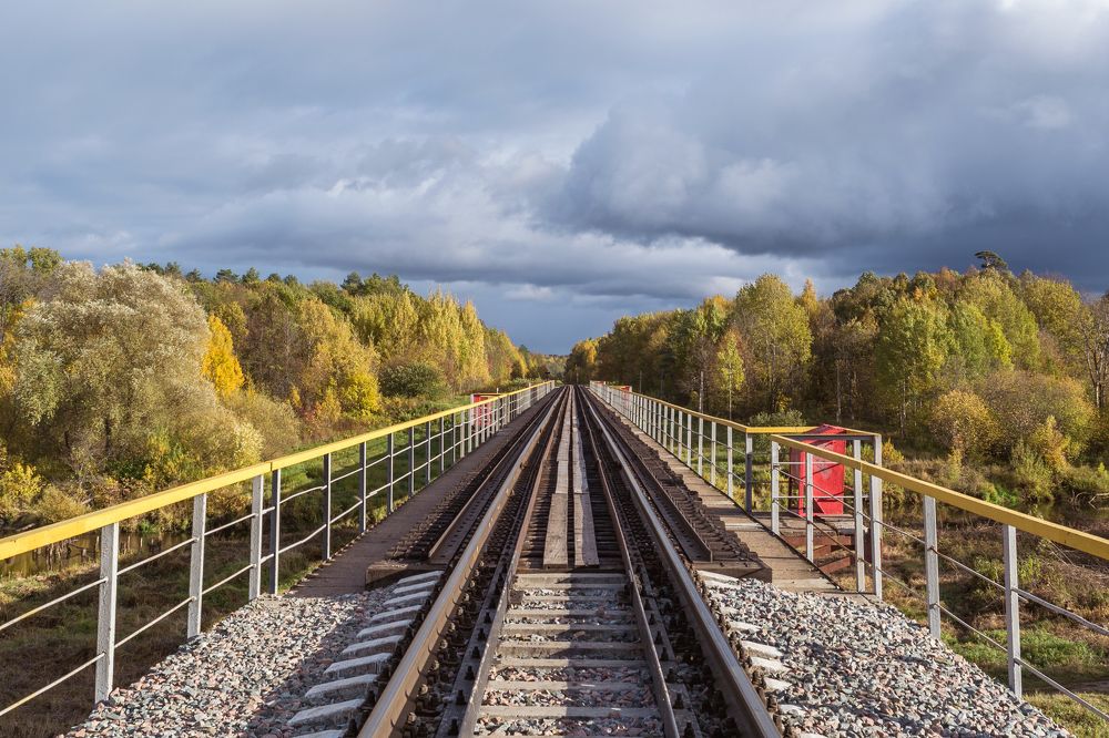 Дорога в осень