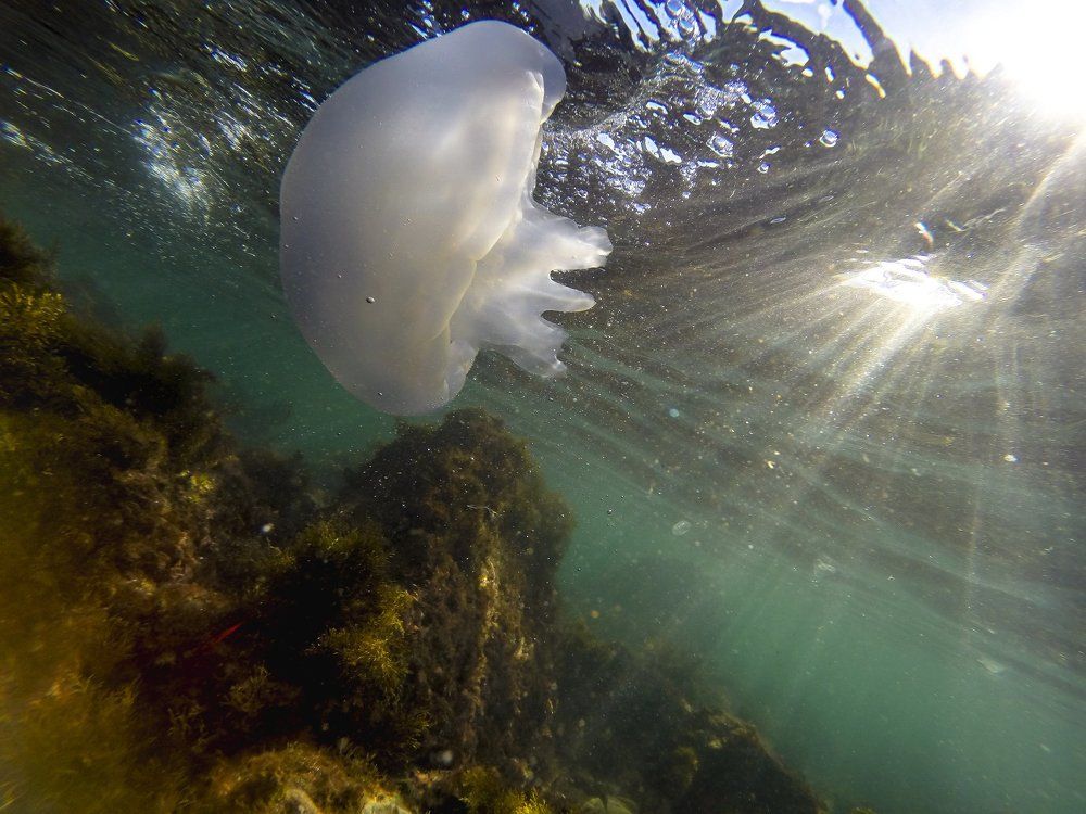 В аквамарине