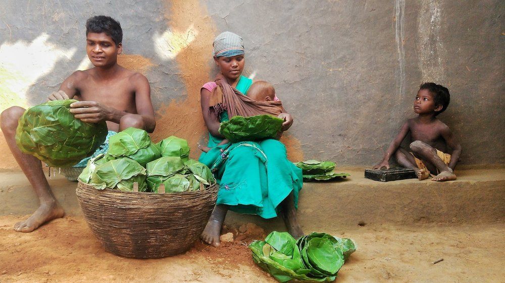 The Dream will Come True